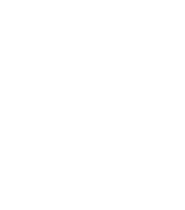 The Bee & The Fox_logo